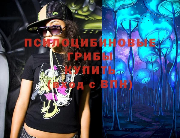 амф Аркадак
