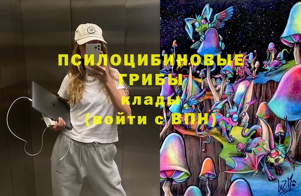 ГАЛЛЮЦИНОГЕННЫЕ ГРИБЫ Арсеньев