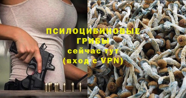 ГАЛЛЮЦИНОГЕННЫЕ ГРИБЫ Арсеньев