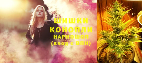 ГАЛЛЮЦИНОГЕННЫЕ ГРИБЫ Арсеньев