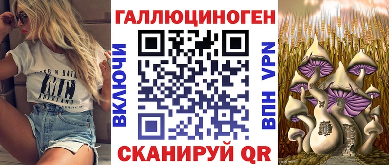 Галлюциногенные грибы Psilocybe  купить наркоту  ссылка на мегу ссылка  Североморск 